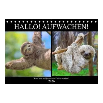 Cestování Hallo! Aufwachen! Kann bitte mal jemand das Faultier wecken? (Tischkalender 2026 DIN A5 quer), CALVENDO Monatskalender - Hurley, Rose