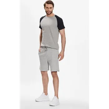 Pánské kraťasy Brave Soul Sportovní kraťasy MSRT-69TARLEYQ Šedá Regular Fit XL