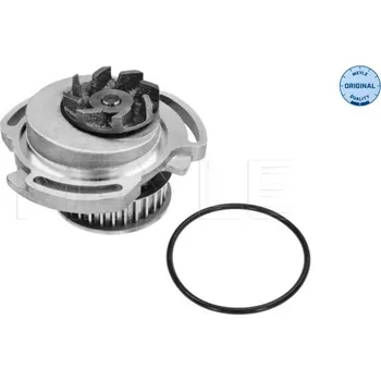 Motor automobilu Vodní čerpadlo, chlazení motoru, , 030121004A, 030121004B, 030121005H, 030121005L, 030121005LV, 030121005LX, MEYLE, 113 012 0002