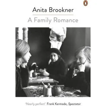 Kniha Family Romance - Brookner, Anita