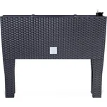 truhlík RATO CASE HIGH 60x25x46cm ANTR (S433)