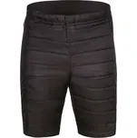 Pánské šortky Alpine Pro HAK 2 - černá / L