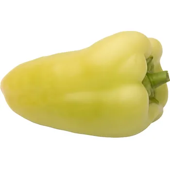 Paprika bílá, cca 80g