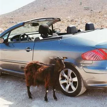 Zahraniční hudba LP Exek: Prove The Mountains Move