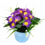 Primule v keramickém květináči 20 x 19…