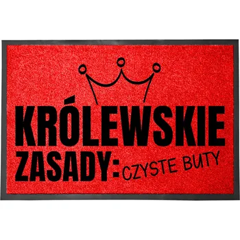 Rohožka Hotová rohožka z plastu, PVC 60 x 40 cm