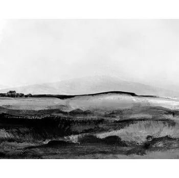 Plakát Plakát, Obraz - Mono Landscape No1, Dan Hobday