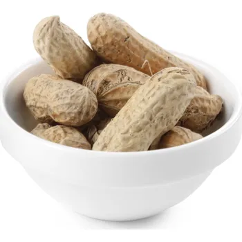 MISKA NA POCHUTINY TAPAS DIPY SALÁTOVÁ MÍSA PORCELÁNOVÁ SADA 6 KS ODOLNÁ