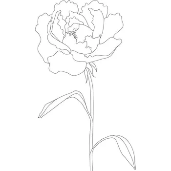 Plakát Plakát, Obraz - Peony Lines, Pictufy Studio II