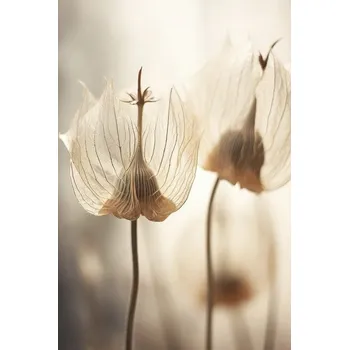 Plakát Plakát, Obraz - Whispering Petals, Treechild