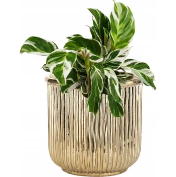 Květináč Obal Na Květináč 16 x 15 cm keramika zlatý