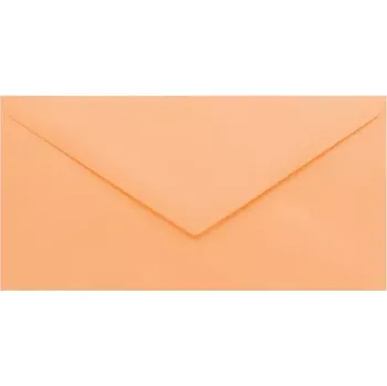 Obálka Poštovní obálka lososová DL (110x220mm)