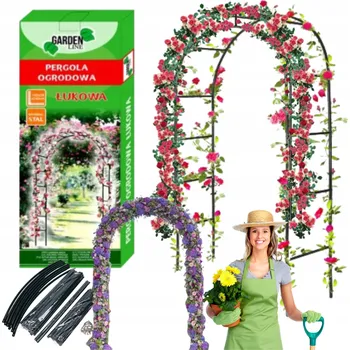 Obraz Kovová pergola Gotel oblouk 240 cm