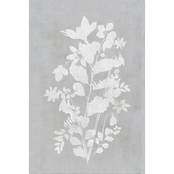 Plakát Plakát, Obraz - Botanical Illustration 2, cartissi