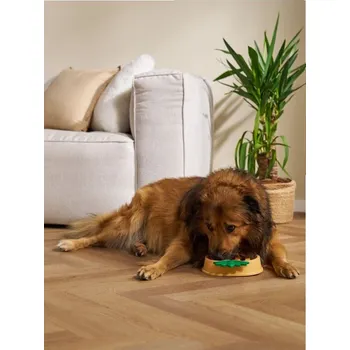 Miska pro psa Sinsay - Miska zpomalující krmení - žlutá - 173FU-11X - 173FU-11X-ONE