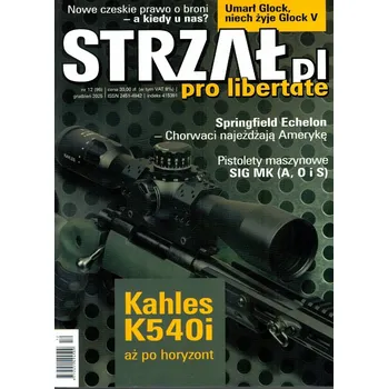 Umění Strzał 6 / 2025