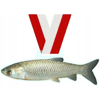 Rybářská medaile AMUR + popis, stuha 11x3 cm