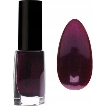 Lak na nehty PIERRE RENE Professional LAK NA NEHTY 380