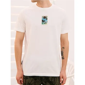 Sinsay - Tričko s krátkými rukávy a potiskem - krémová - 9687I-01X - 9687I-01X-XS