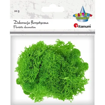 Obraz Floristická dekorace Titanum Mech chrobotek světle zelený, 20 g