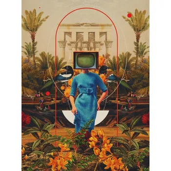 Plakát Plakát, Obraz - Her Asymmetries, Frank Moth