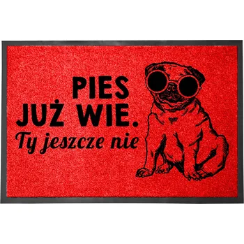 Rohožka VCHODOVÁ ROHOŽKA ČERVENÁ 40X60CM VTIPNÁ PES UŽ VÍ, TY JEŠTĚ NE