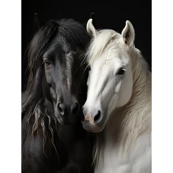 Plakát Plakát, Obraz - Bw Horses 3, Bilge Paksoylu