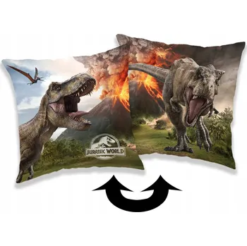 Polštář Dekorační Polštář Jerry Fabrics 40 x 40 cm