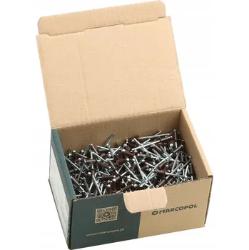 Nýt TRHACÍ nýty 4,8 x 10 500 ks ALU/OCEL PLOCHÁ HLAVA RAL 9006 STŘÍBRNÝ ALUMINIO