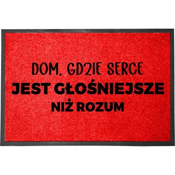 Rohožka Hotová rohožka z plastu, PVC 60 x 40 cm