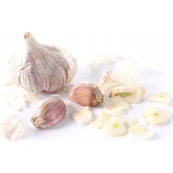 Struhadlo STRUHADLO KRÁJEČ NA ČESNEK A ZELENINY NA PLÁTKY, OCEL LASEROVĚ BROUŠENÉ