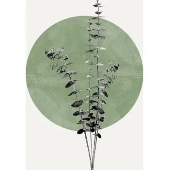 Plakát Plakát, Obraz - Nature's Echo, THE MIUUS STUDIO