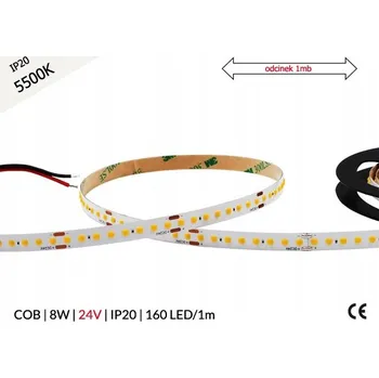 LED páska LED pásek studená bílá 24V 8W 160 LED/1m 5200K-5700K 120lm/W 1m
