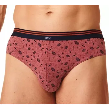 Slipy Pánské slipy KEY MPP-512 B23 L (40) vícebarevné