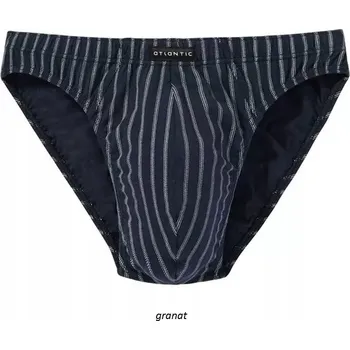 Slipy Pánské slipy Atlantic MP-1222 M (38) světle šedé