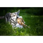 Hračka Multipet Swingin Safari žirafa plyš 48 cm