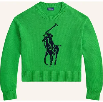 Dámský svetr Polo Ralph Lauren Dámský Svetr, zelená / tmavě modrá, 34