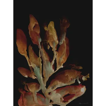 Plakát Plakát, Obraz - Night Plant, Dan Hobday