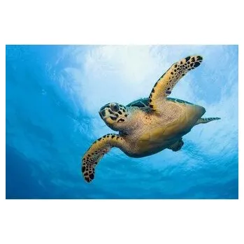 Pohlednice 3D Kareta Pravá