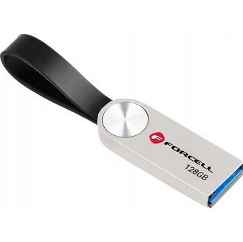 USB flash disk Flash disk Forcell f-data 128 GB USB 3.2 stříbrný