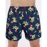 Pánské trenky Cornette Classic vícebarevné (001/186) XL