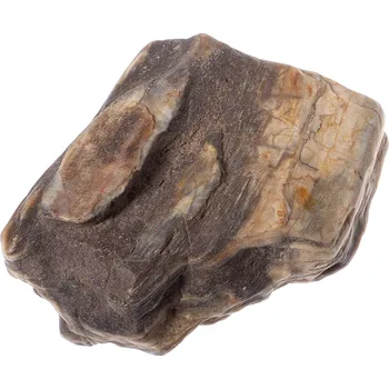 Zkamenělé dřevo 125 g