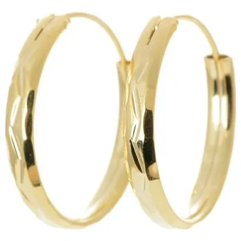 Náušnice Stříbrné pozlacené náušnice kruhy 25 mm STNAU2142F