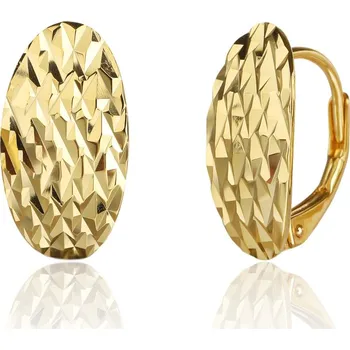 Náušnice Pozlacené stříbrné náušnice JVD SVLE3529XJ6GO00