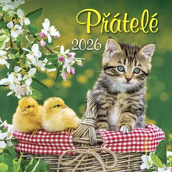Kalendář Kalendář 2026 Přátelé, nástěnný, 33 x 33 cm