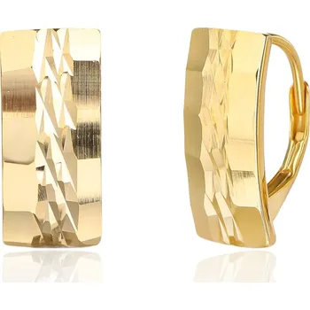 Náušnice Pozlacené stříbrné náušnice JVD SVLE3526XJ6GO00