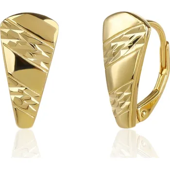 Náušnice Pozlacené stříbrné náušnice JVD SVLE3510XJ6GO00