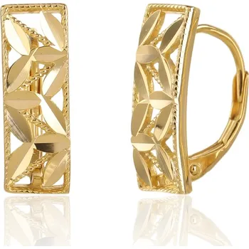 Náušnice Pozlacené stříbrné náušnice JVD SVLE3513XJ6GO00