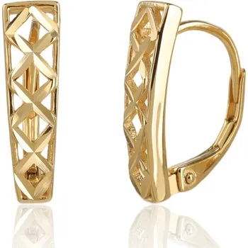 Náušnice Pozlacené stříbrné náušnice JVD SVLE3522XJ6GO00