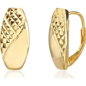 Náušnice Pozlacené stříbrné náušnice JVD SVLE3509XJ6GO00